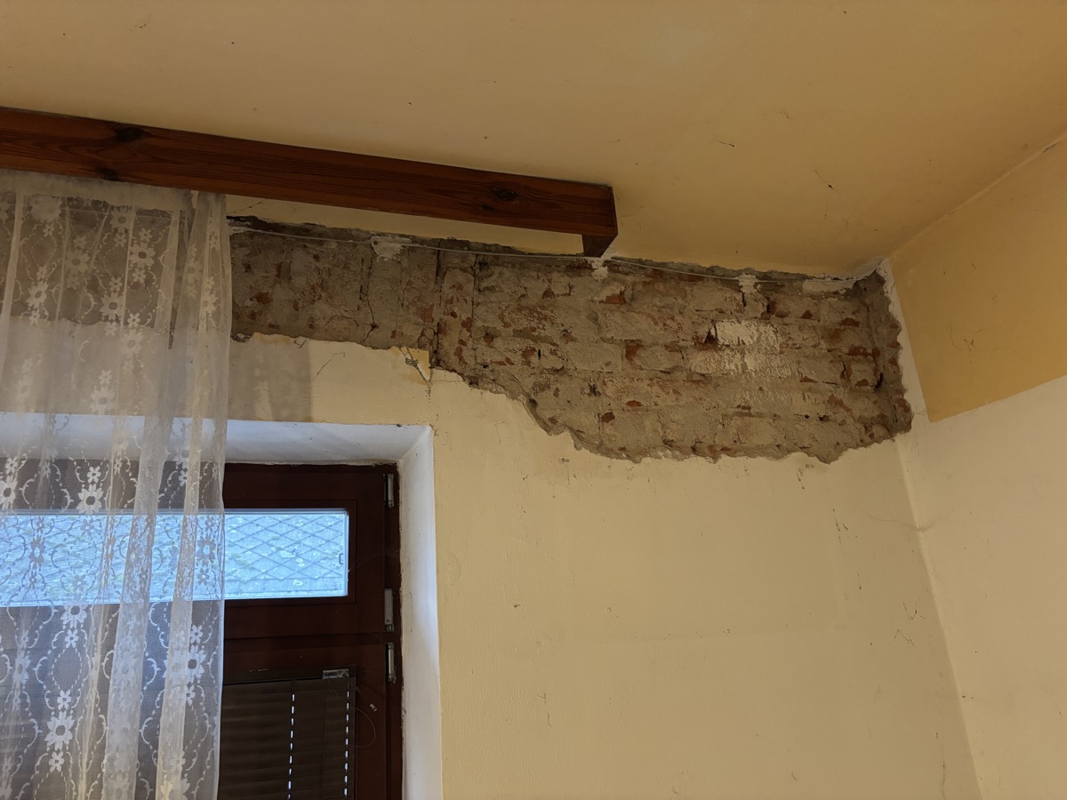 Plísně a vlhkost v interiéru